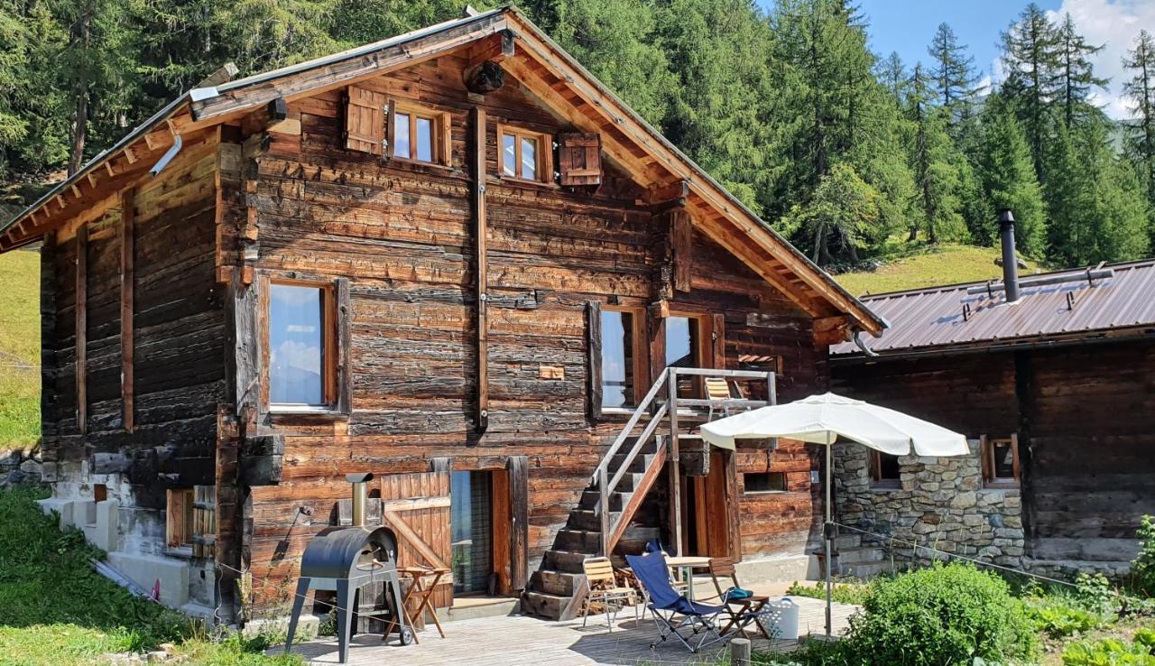 Chalet Biene - Swiss Alp Chalet With Sauna And Jacuzzi Ульрихен Экстерьер фото