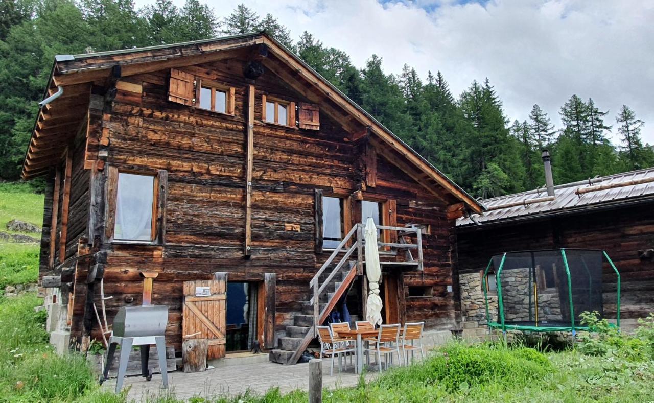 Chalet Biene - Swiss Alp Chalet With Sauna And Jacuzzi Ульрихен Экстерьер фото